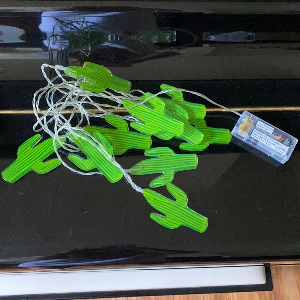 Light up cactus string lights